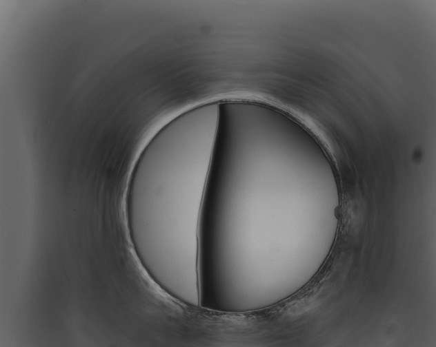 X0000090440959200707131027