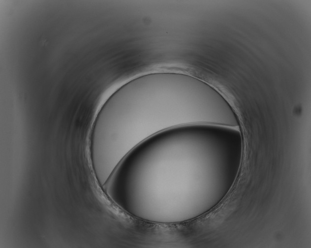 X0000090440960200707131027
