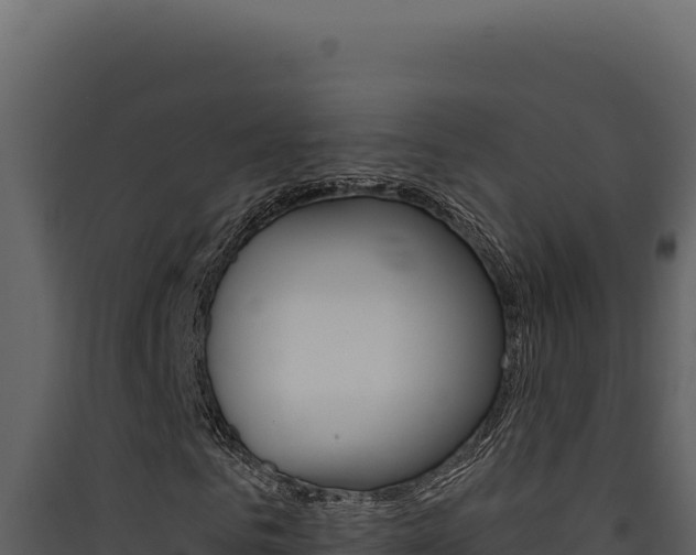 X0000090440961200707131027