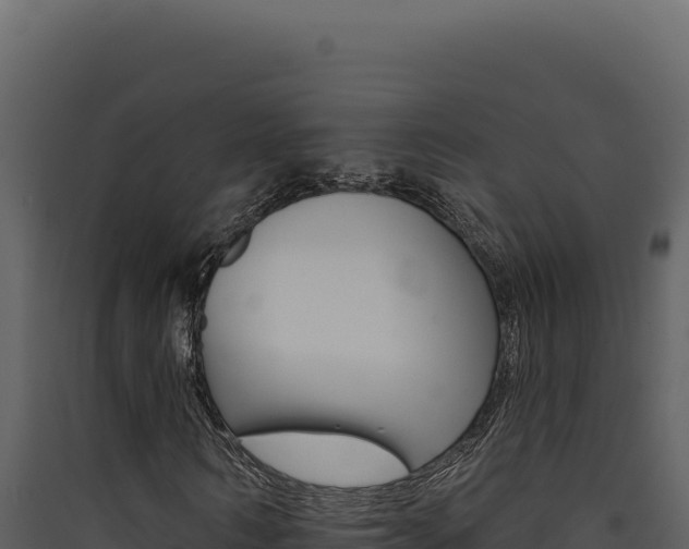 X0000090440962200707131027