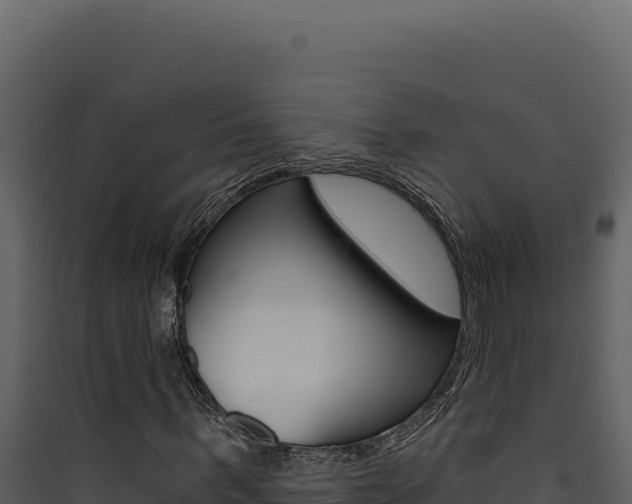 X0000090440963200707131027