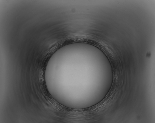 X0000090440964200707131027