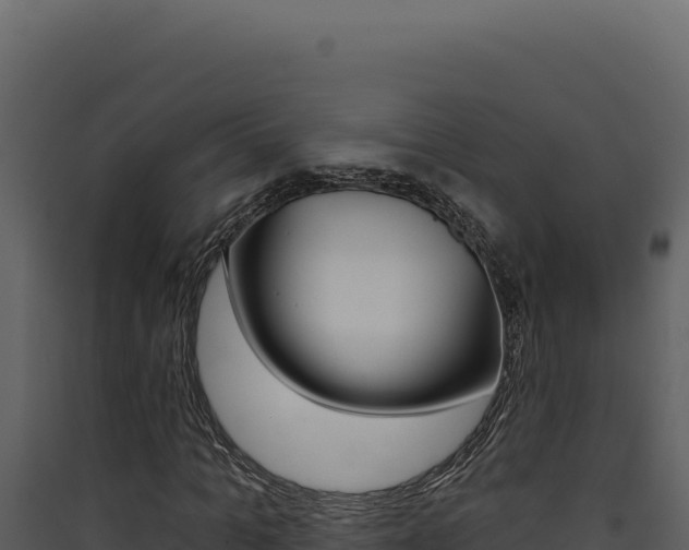 X0000090440965200707131027