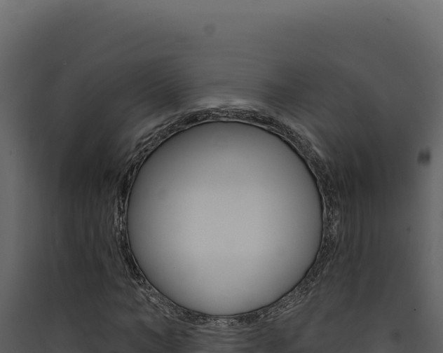 X0000090440966200707131027