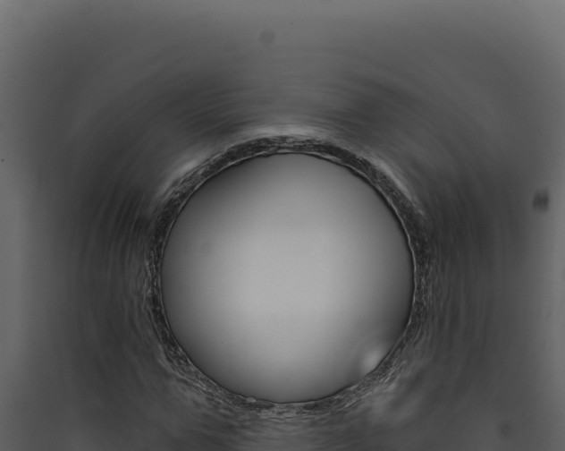 X0000090440967200707131027