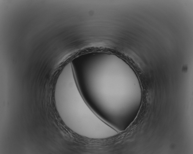 X0000090440968200707131027