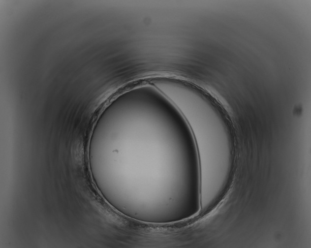 X0000090440969200707131027
