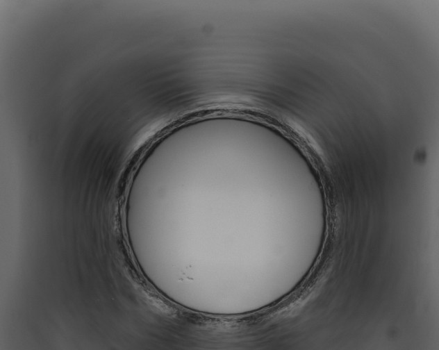 X0000090440970200707131027