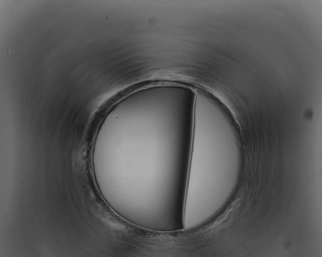 X0000090440971200707131027