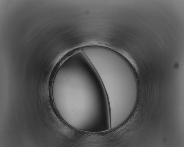 X0000090440972200707131027