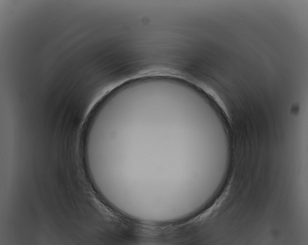 X0000090440973200707131027