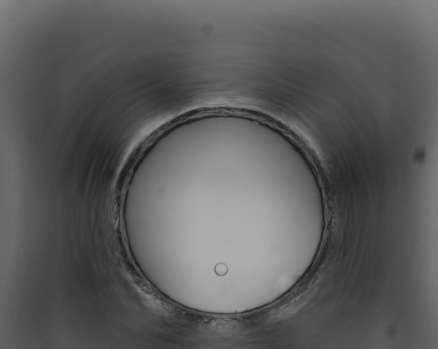 X0000090440974200707131027
