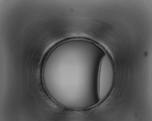 X0000090440975200707131027