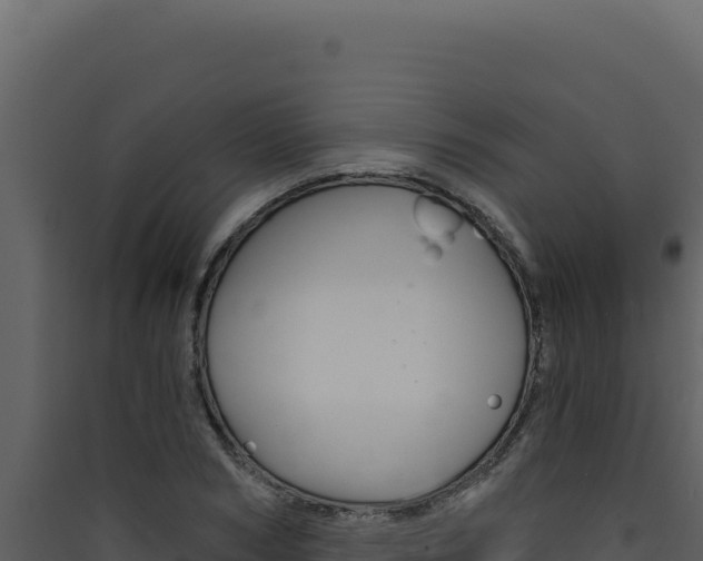 X0000090440978200707131027