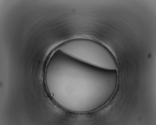 X0000090440979200707131027