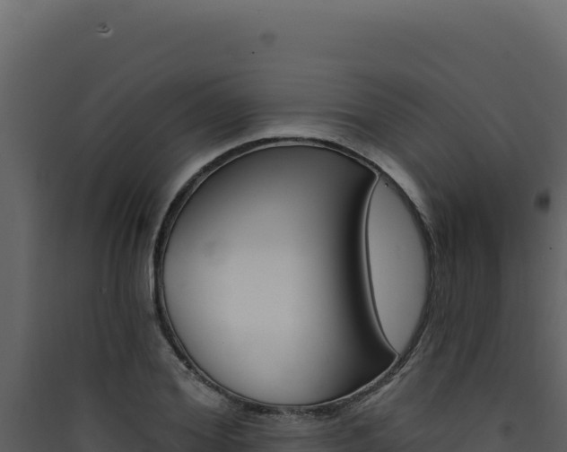 X0000090440980200707131027