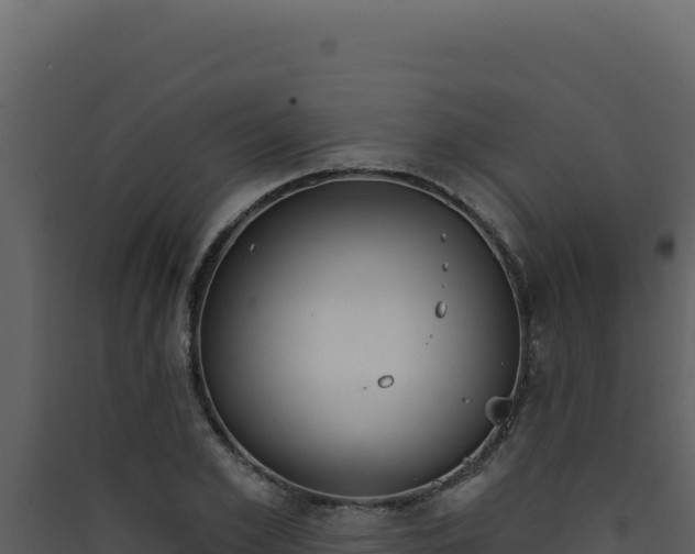 X0000090440981200707131027