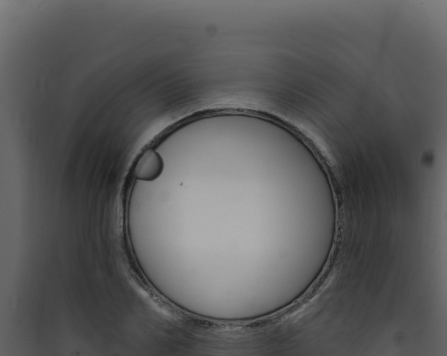 X0000090440982200707131027