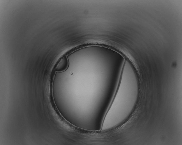 X0000090440984200707131027