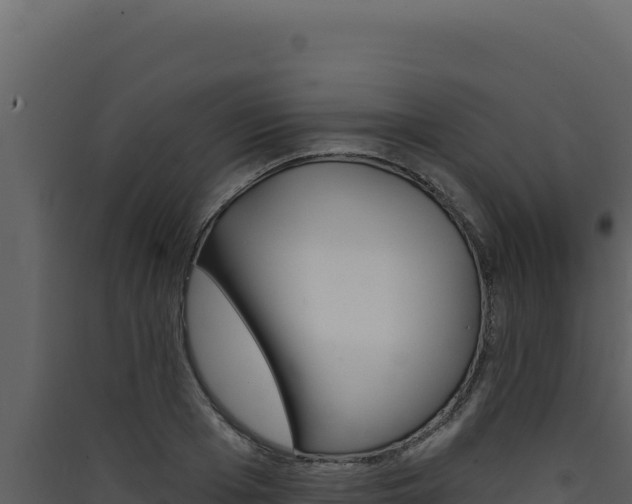 X0000090440985200707131027
