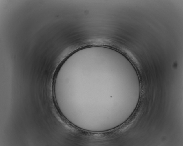 X0000090440986200707131027