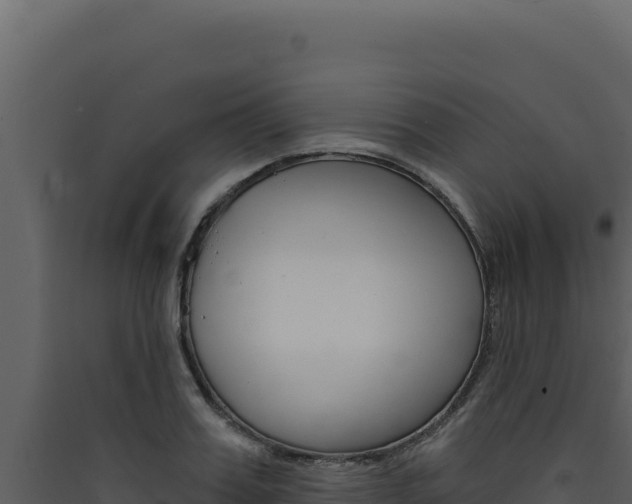 X0000090440987200707131027