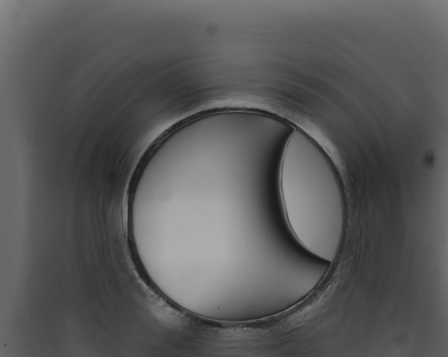 X0000090440988200707131027