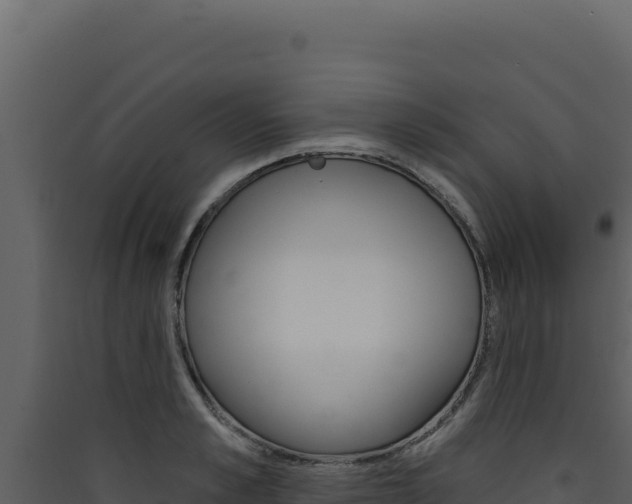 X0000090440989200707131026
