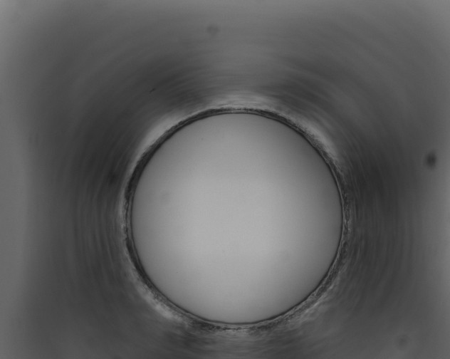 X0000090440990200707131026