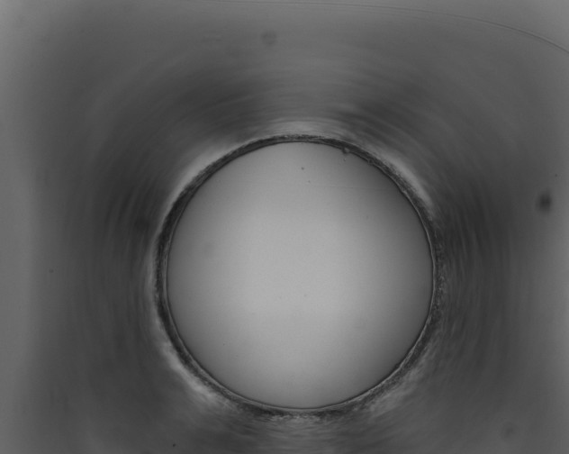 X0000090440991200707131026