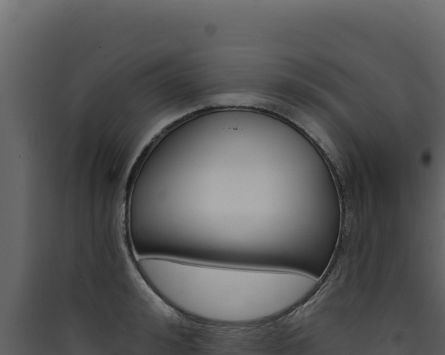 X0000090440992200707131026