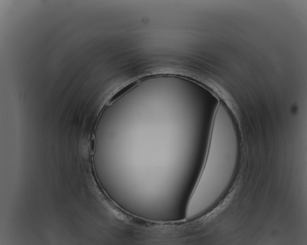 X0000090440993200707131026