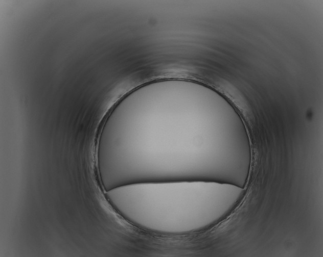X0000090440994200707131026