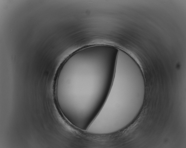 X0000090440995200707131026
