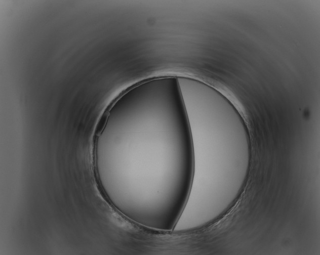 X0000090440996200707131026