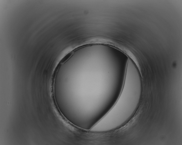 X0000090440997200707131026