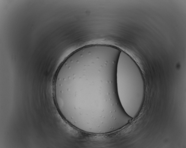 X0000090440998200707131026
