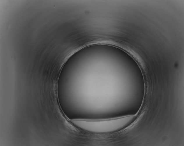 X0000090441001200707131026