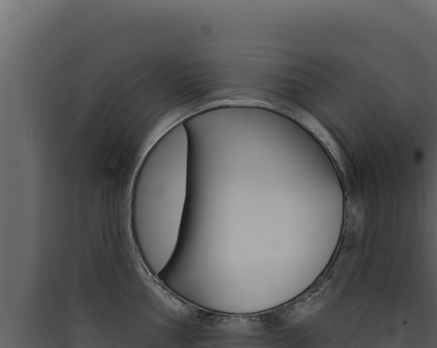 X0000090441002200707131026