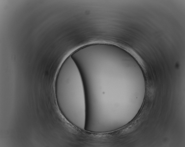 X0000090441004200707131026