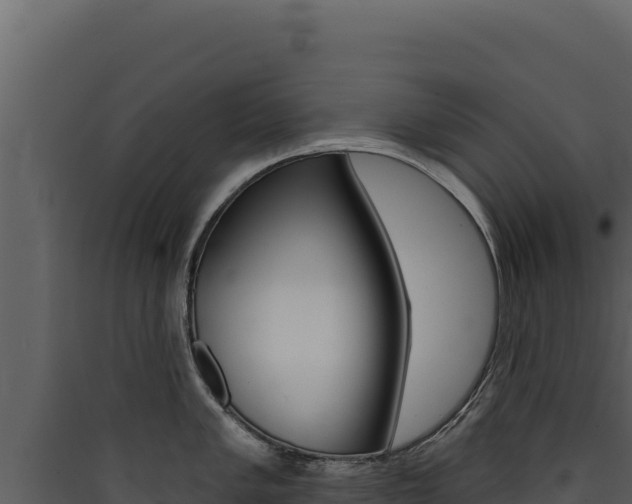 X0000090441005200707131026