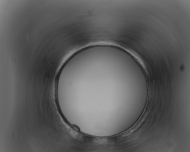 X0000090441006200707131026