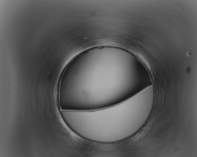 X0000090441007200707131026