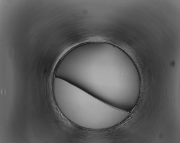 X0000090441008200707131026