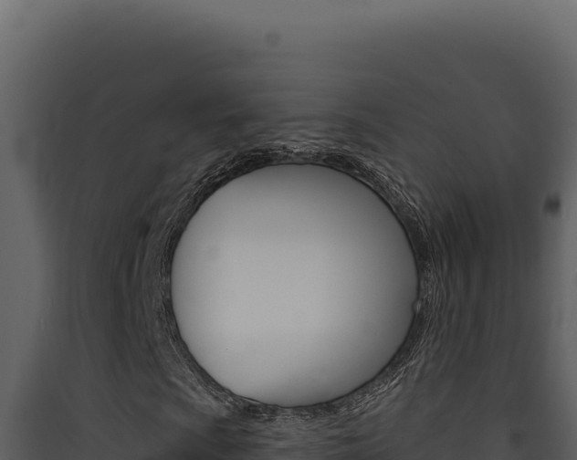 X0000090441009200707131025