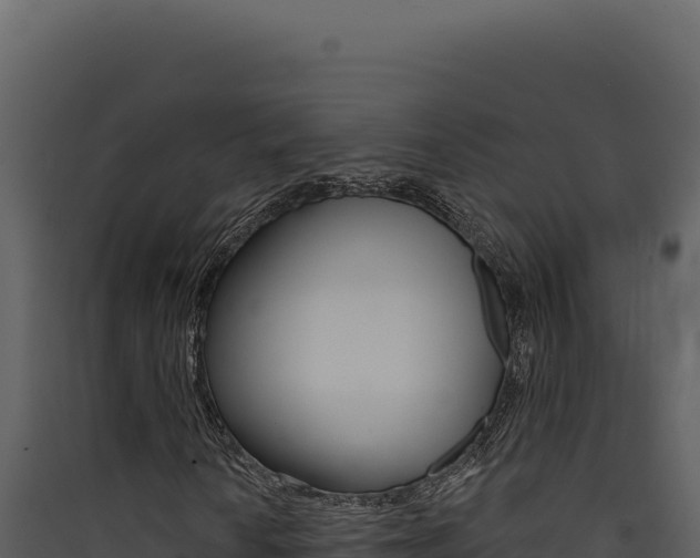 X0000090441010200707131025