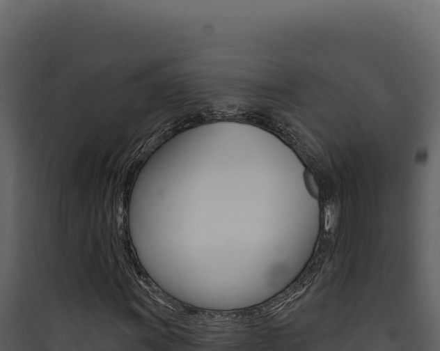 X0000090441011200707131026