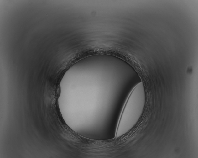 X0000090441012200707131026