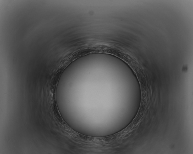 X0000090441013200707131026