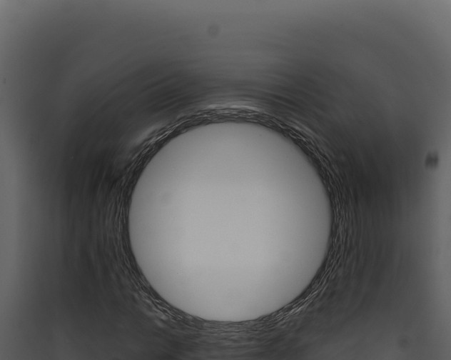 X0000090441014200707131026